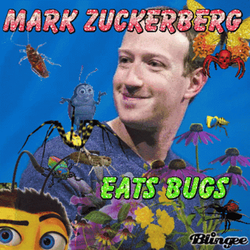 Insect Mark Zuckerberg GIF