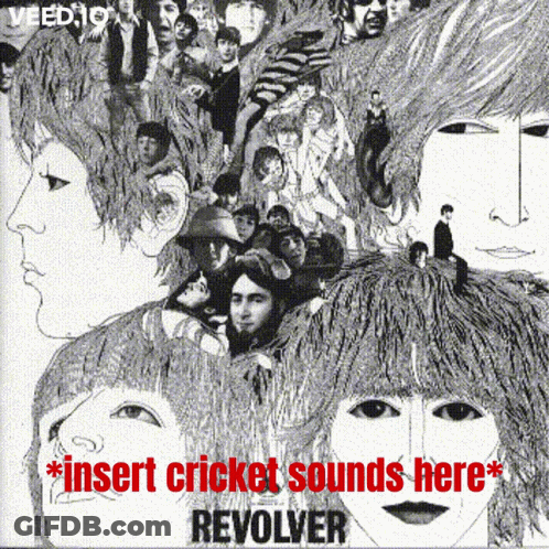 Insert Cricket Sounds Here Poster GIF