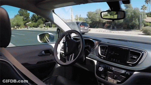 Inside Car With Steering Wheel Saying Passenger GIF