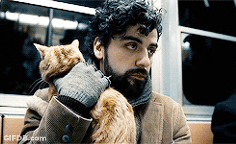 Inside Llewyn Davis Hugging A Cat GIF