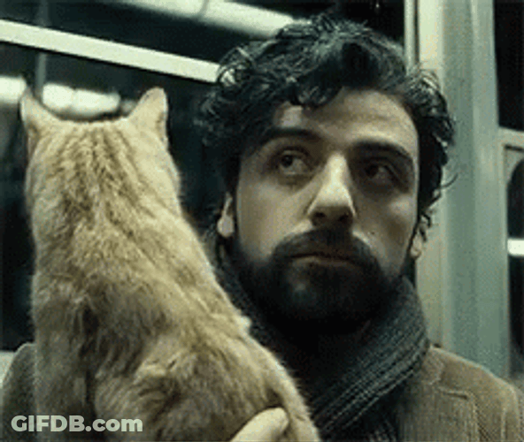 Inside Llewyn Davis Looking Around With Cat GIF