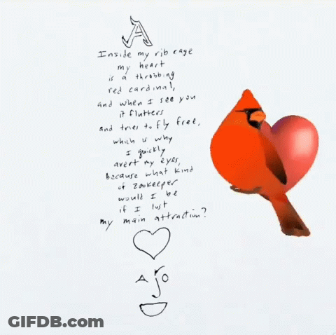 Inside My Rib Cage My Heart Is Throbbing Red Cardinal And When I See You It Flutters And Tries To Fly Free GIF