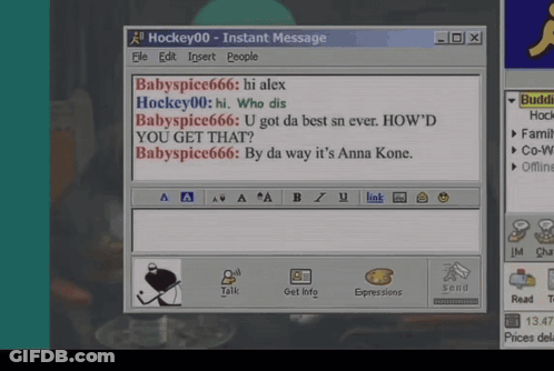 Instant Message Between Babyspice666 And Hockey00 GIF