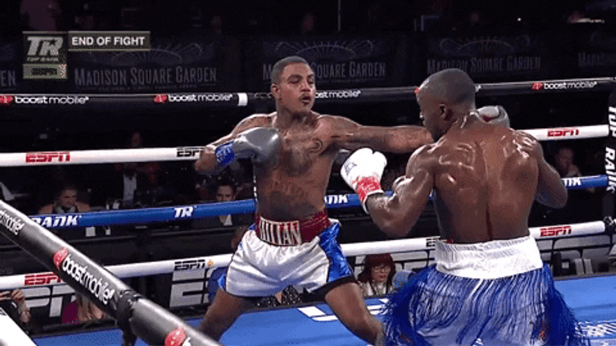 Intense Boxing Knockout GIF