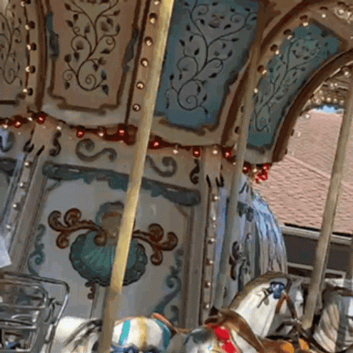 Intense Merry Go Round Ride GIF