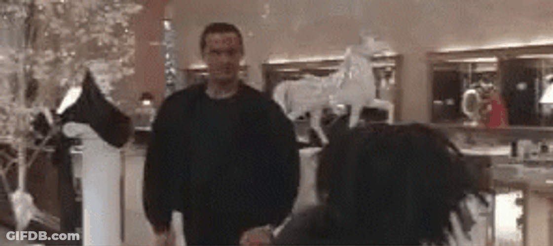 Intense Steven Seagal Fight GIF