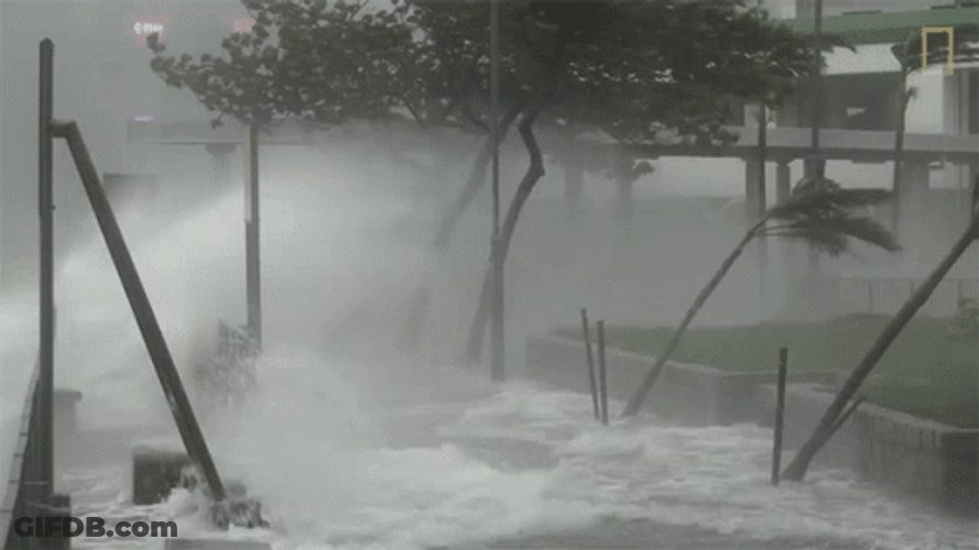 Intense Storm Causes Flooding GIF