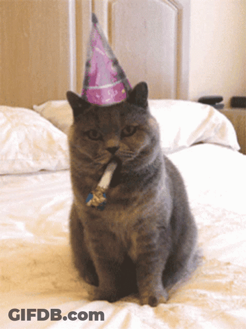 International Cat Day Black Feline Blowing Party Horn GIF