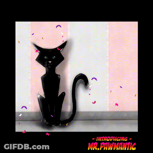 International Cat Day Black Feline Sitting GIF