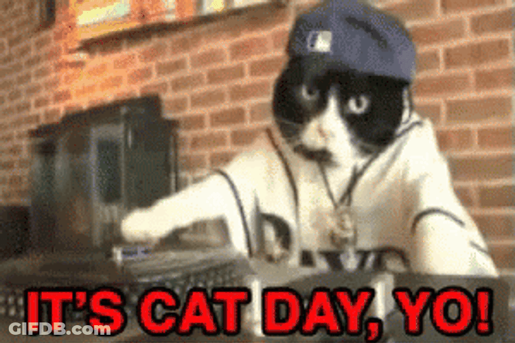 International Cat Day DJ Feline GIF