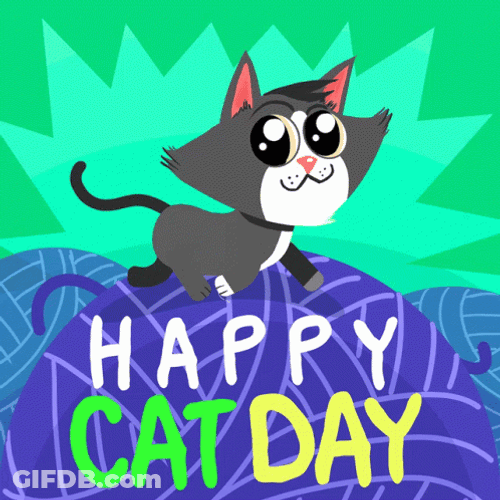 International Cat Day Feline Walking On Rolling Yarn GIF