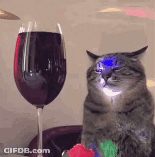 International Cat Day Feline With Glass Of Wine GIF