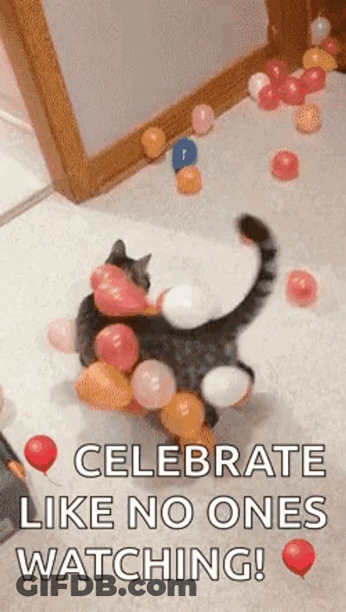 International Cat Day Feline With Many Balloons GIF