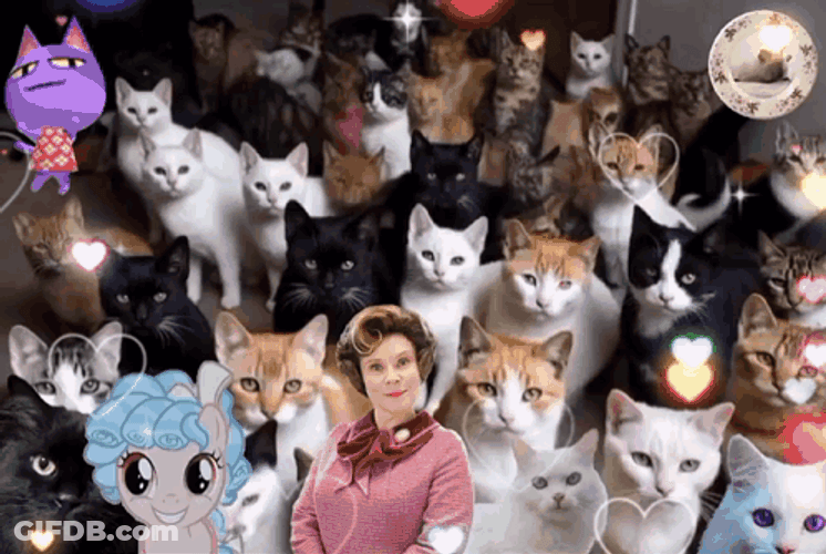 International Cat Day Felines And Dolores Umbridge GIF