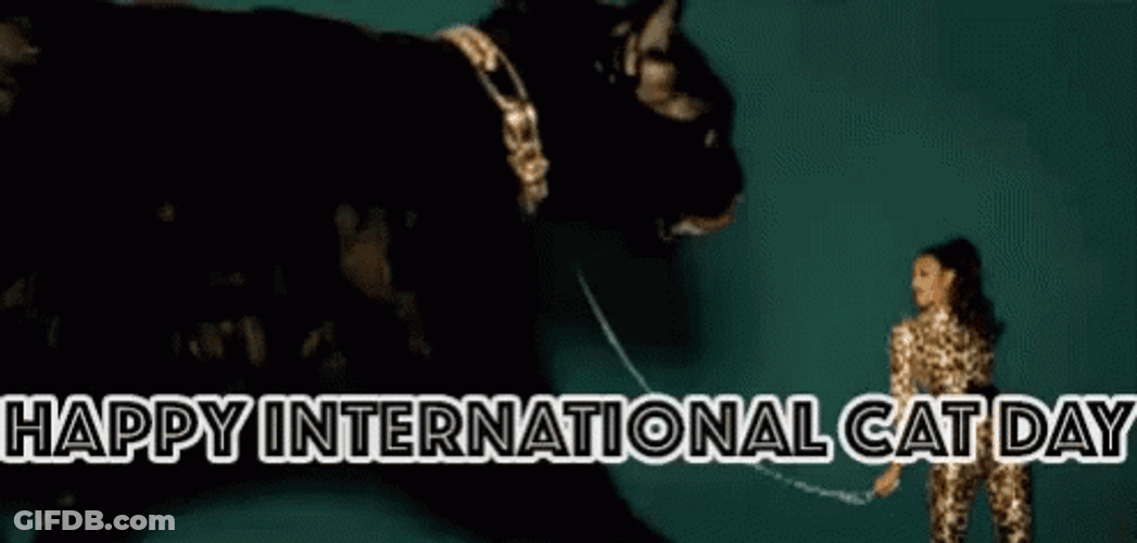 International Cat Day Giant Black Feline GIF