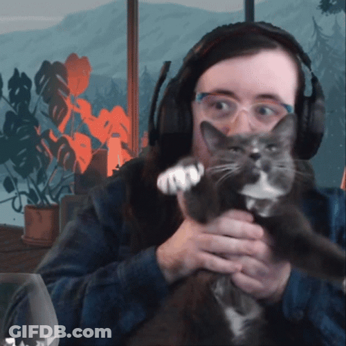 International Cat Day Man Making Pet Dance GIF