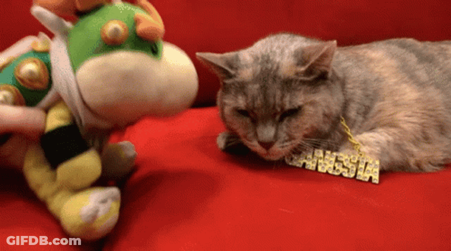 International Cat Day Puppet Kissing Sleeping Feline GIF