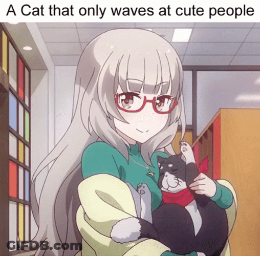 International Cat Day Shizuku Hazuki Anime GIF