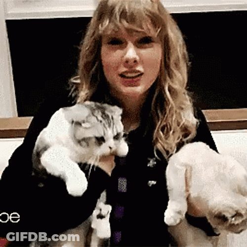 International Cat Day Taylor Swift And Pets GIF