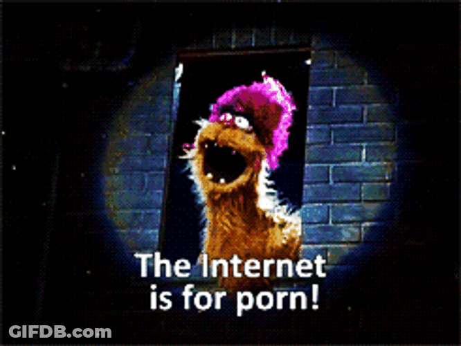 Internet Online Only Porn GIF
