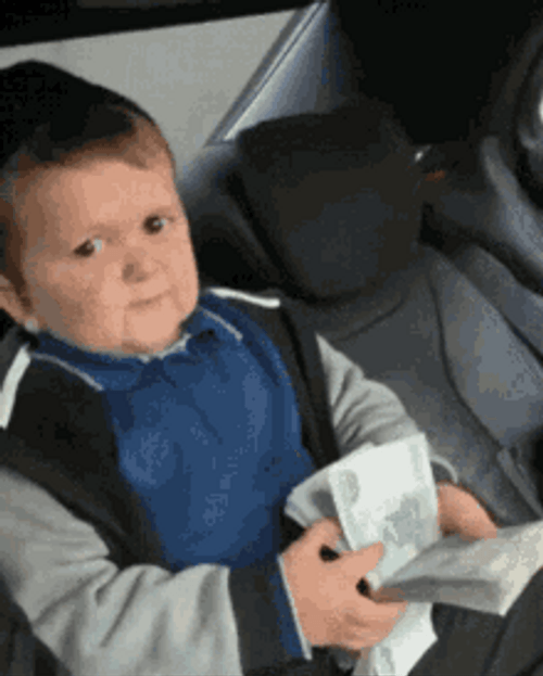 Internet Star Hasbulla Counting Money Money Money GIF