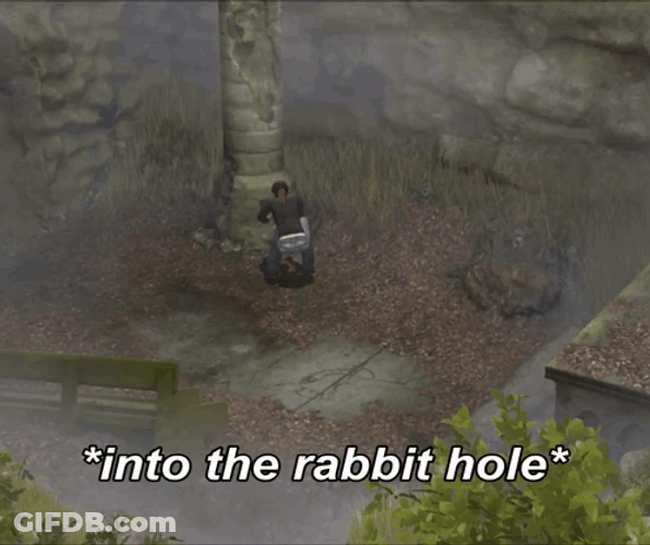 Into The Rabbit Hole GIF