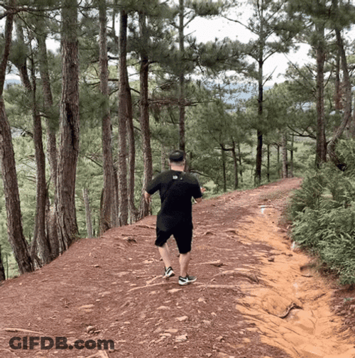 Into Woods Running Meme GIF
