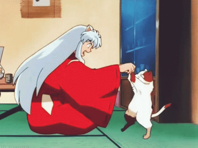Inuyasha Playing With Kirara GIF