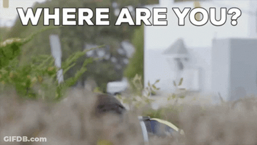 Investigating Where GIF