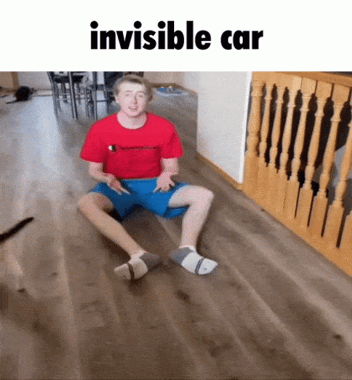 Invisible Car Meme GIF