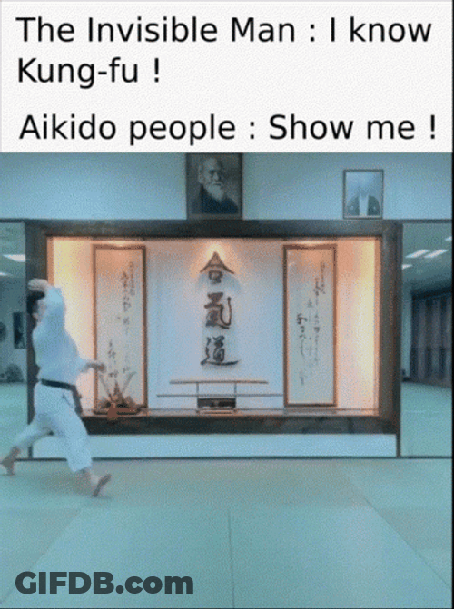 Invisible Man I Know Kung Fu GIF