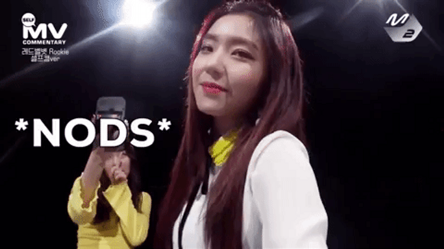 Irene Red Velvet Face Cam Nod GIF