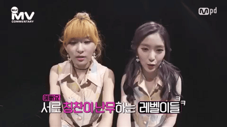 Irene Seulgi Red Velvet Interview GIF