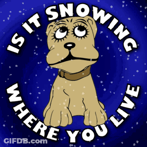 Is It Snowing Where You Live GIF
