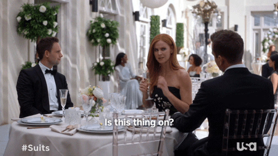 Is This Thing On Donna Paulsen GIF
