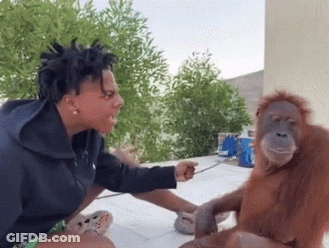 Ishowspeed Meet Up Orangutan GIF