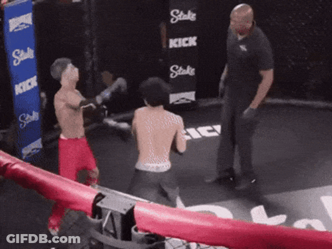 Island Boys Fight GIF