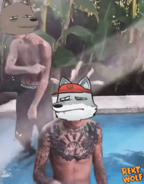 Island Boys Rekt Wolf Meme GIF