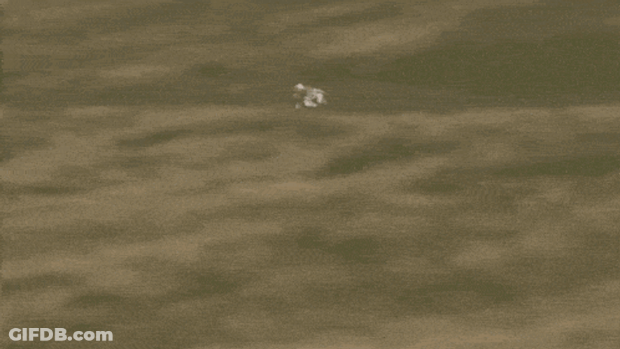 Isle Of Man Manx GIF