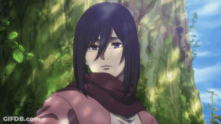 Isnt That Nice Mikasa GIF
