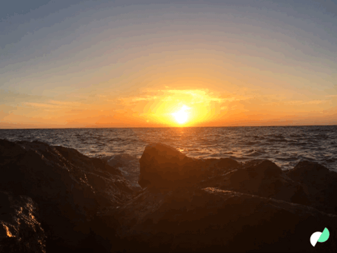Israel Beautiful Beach Sunset GIF