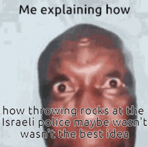 Israel Throwing Rocks Meme GIF