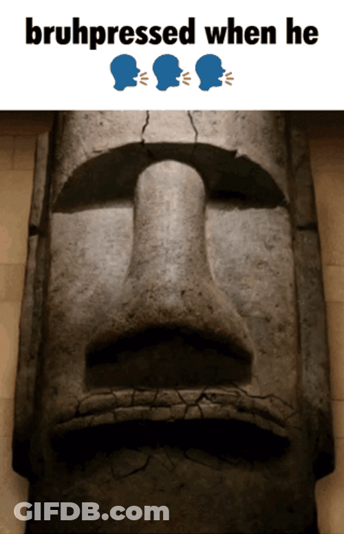 It Belongs In A Museum Bruhpressed GIF