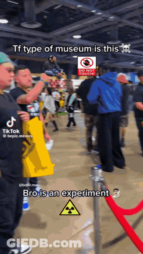 It Belongs In A Museum Decluttering GIF