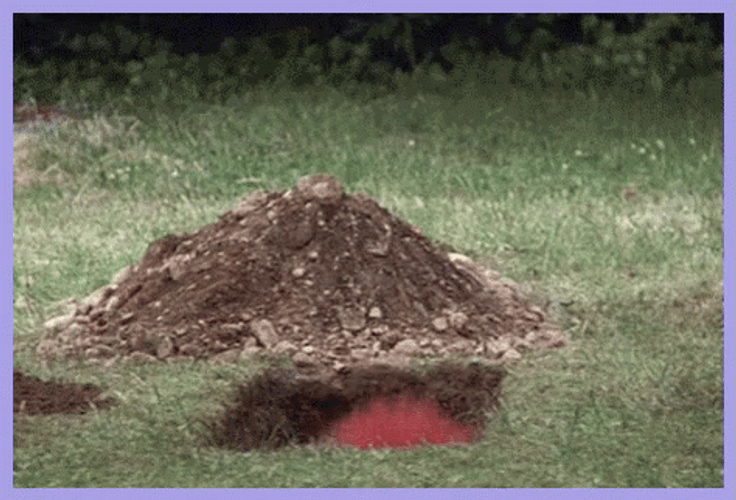 It Came Out Of The Pit GIF