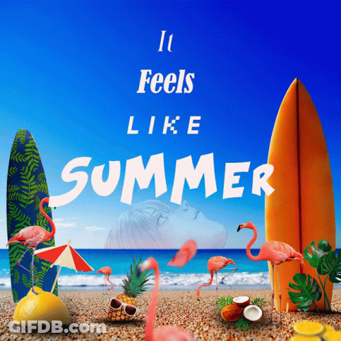 It Feels Like Summer Poster With Flamingos And Surfboards GIF
