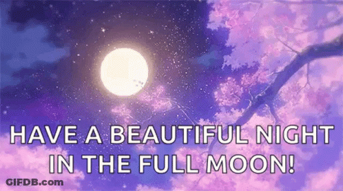 It Is A Beautiful Night In The Full Moon With A Tree Branch In The Foreground . GIF