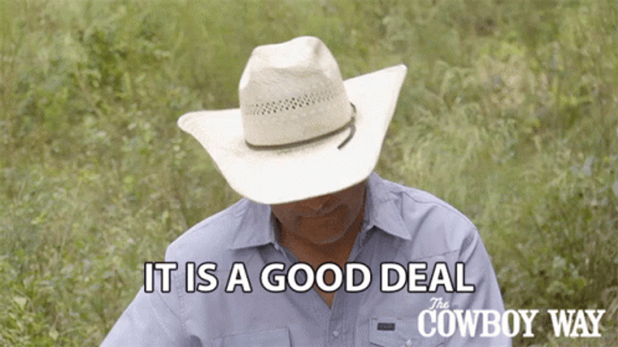 It Is A Good Deal Booger Brown GIF