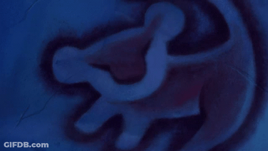 It Is Time GIF
