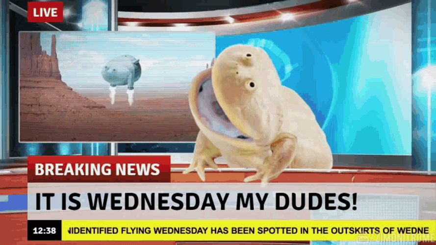 It Is Wednesday My Dudes Frog On News GIF